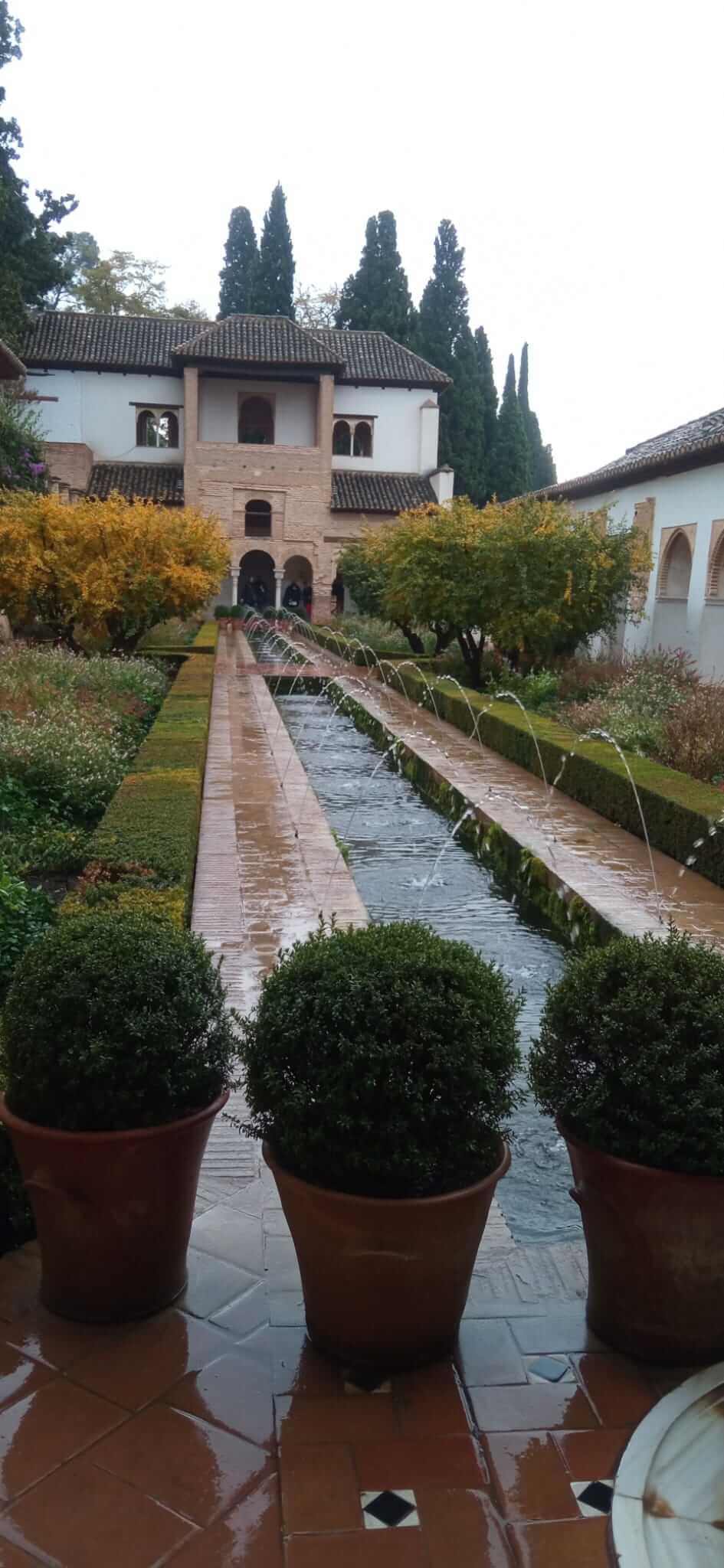 Imange: 5 Must-Visit Corners in the Generalife Gardens